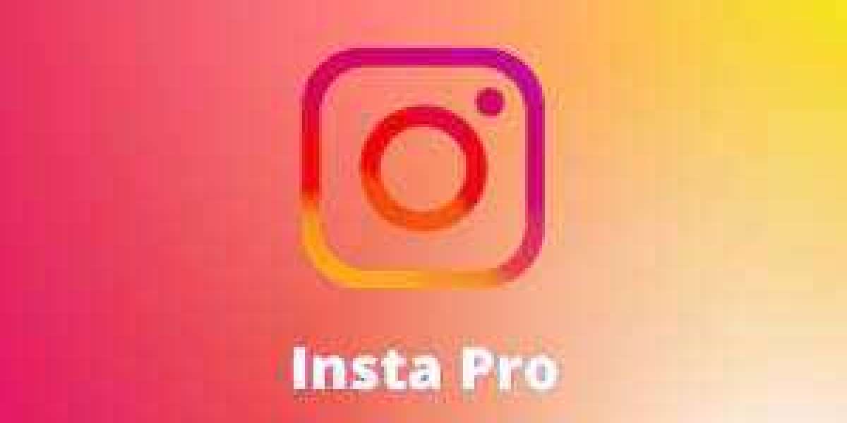 Unleashing the Power of Instagram Pro: Elevating Your Social Media Game