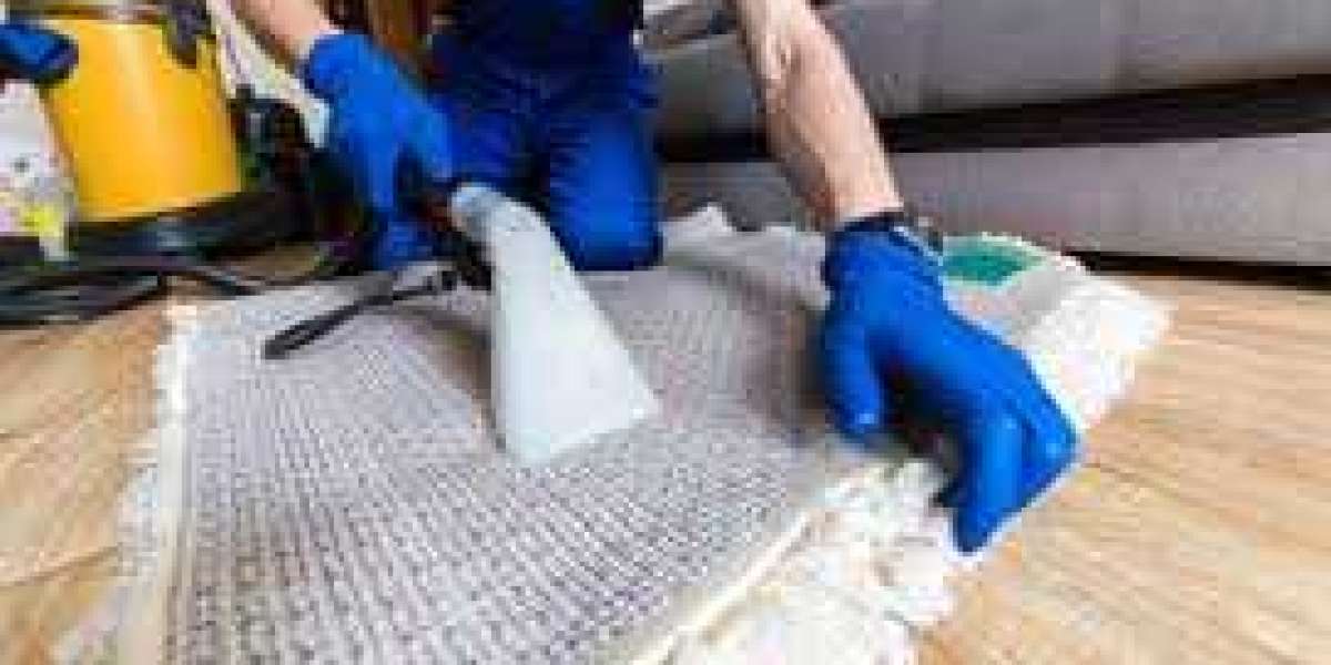 Professional Carpet Cleaning: A Simple Way to Enhance Home Aesthetics