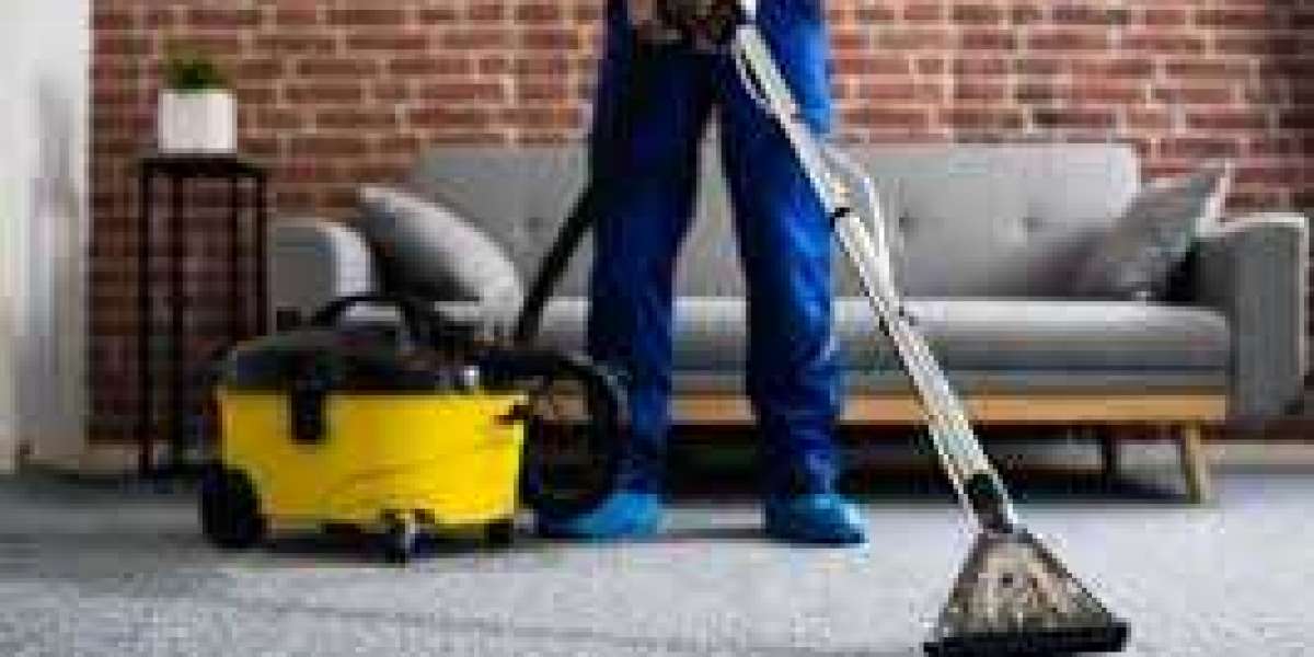 Improving Your Home’s Comfort with Professional Carpet Cleaning